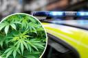 A man was arrested on suspicion of growing cannabis