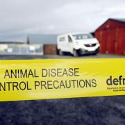 Bird flu has been confirmed on the Herefordshire-Shropshire border. File picture