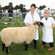 Logan Shepherd and Archie Dorrell with the class winning 2yr old Shropshire Ram