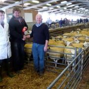 From left: Michael Thomas (McCartneys auctioneer), Rob Amphlett, The Laurels (Best Pen of Crossbred Ewes) and Freddie Probert (judge)