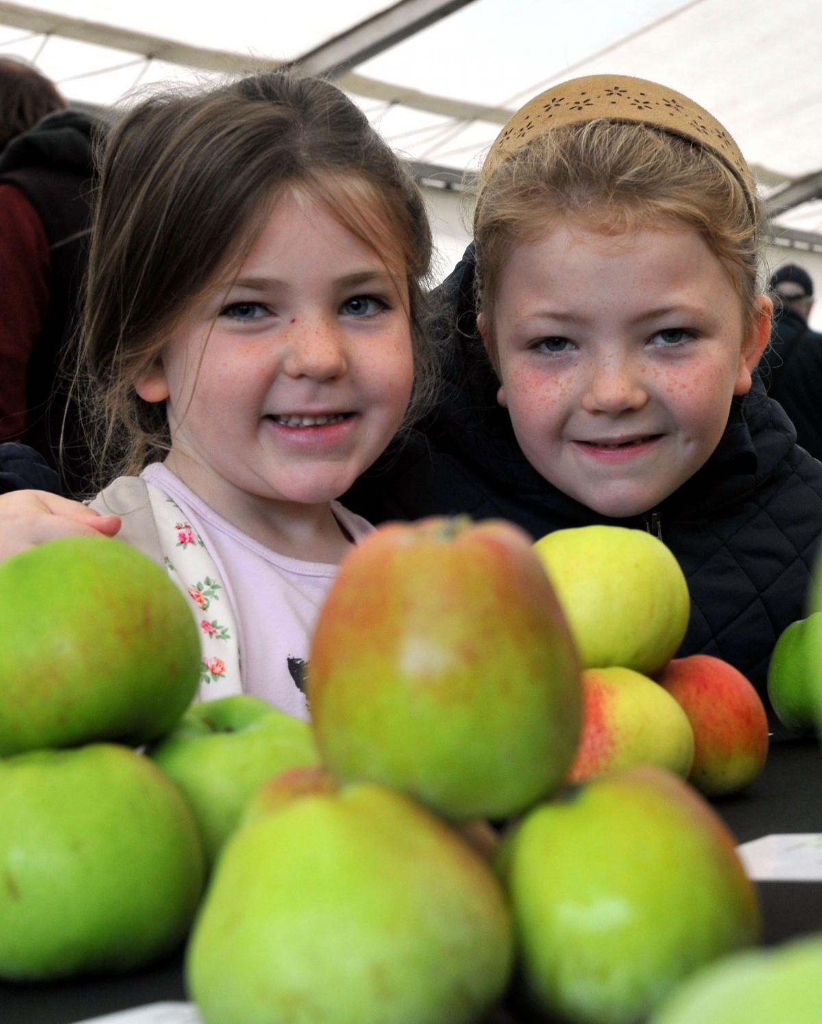 Ella Washbourne, five, and her seven year old sister Holly admire a display of apples at Applefest. 