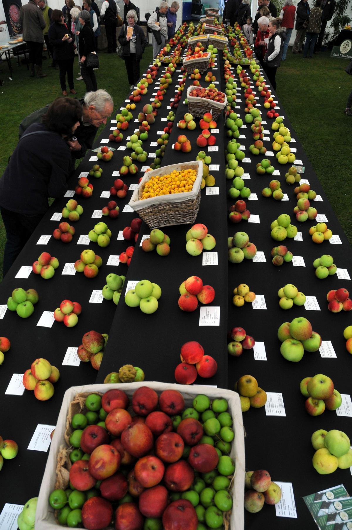 Hundreds of varieties of apples were on display