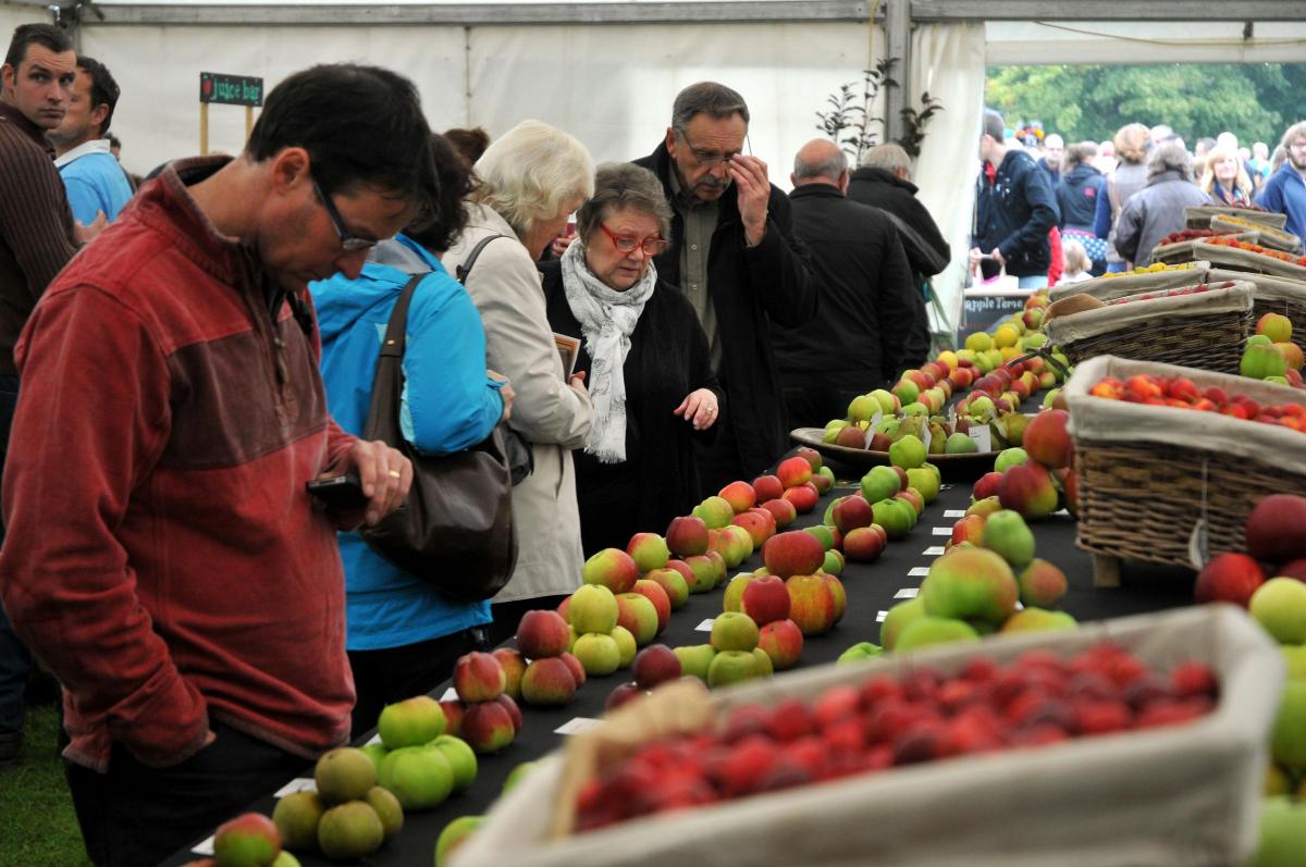 Crowds inspect apples in the main tent