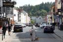 Councillor Vivienne Parry claims holiday let owners are dumping litter in Ludlow