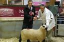 Judge Sion Jones presenting the rosette for overall champion to Darren Bevan of J Croose, Marlbrook for their ewe lamb which was also female champion