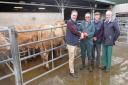 L to r: Peter Evans of ForFarmers (formerly BOCM Pauls) presenting the BOCM Tankard to Mark Alderson of Sibdon (First Prize Winner) with Steven Pugh (Judge) and Phillip Blackman Howard of McCartneys