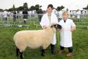 Logan Shepherd and Archie Dorrell with the class winning two-year-old Shropshire Ram