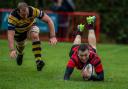 James Mear scoring one of his four tries in Ludlow's 99-0 win. Picture: Trevor Patchett