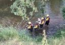 A sheep was rescued from firefighters after falling into the river Teme at Newnham Bridge
