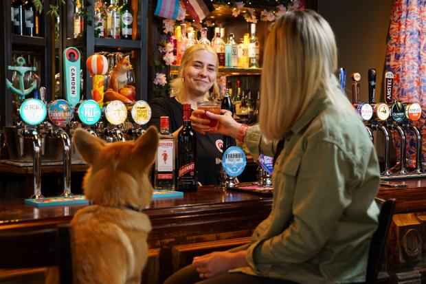 Ludlow Advertiser: Take a Corgi for a free 'Queen's Tipple' over the Platinum Jubilee weekend. Picture: Greene King