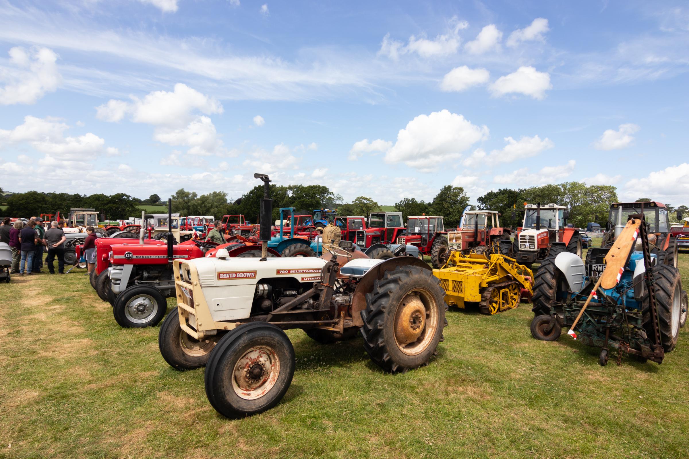 David Brown tractors were also among those at the Bromyard Gala 2022. Picture: Sofie Smith