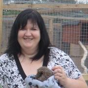 Fay Vass, chief executive of the British Hedgehog Protection Society, with a hedgehog
