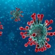 Explained: Why coronavirus may never go away - according to the World Health Organisation