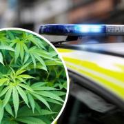 A man was arrested on suspicion of growing cannabis