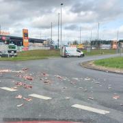 Animal bones were seen spread across the road in a Herefordshire border town. Picture: Emily Jackson