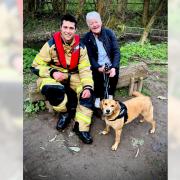 Firefighter Ward from Ludlow Fire Station returned Oscar the dog to his owner