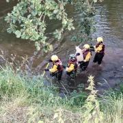 A sheep was rescued from firefighters after falling into the river Teme at Newnham Bridge