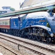 The Sir Nigel Gresley train stationed in Hereford