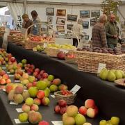 Tenbury Applefest has already got more than 75 stalls confirmed ahead of its return on October 7
