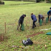 The Stepping Stones project works to preserve natural habitats and hedgerows.