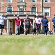 The Great British Dog Walk is returning to Weston Park in Shropshire